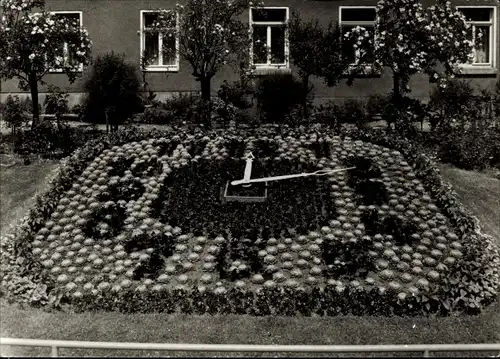 Ak Greiz im Vogtland, Blumenuhr am Eingang zum Leninpark