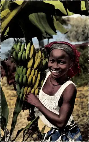 Ak Afrique, Bananen pflücken