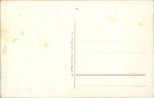 Ak Pirna in Sachsen, Partie an der Elbe, Panorama