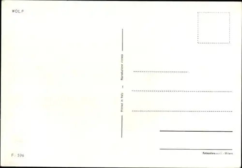 Ak Rennwagen Wolf, Walter Wolf Racing