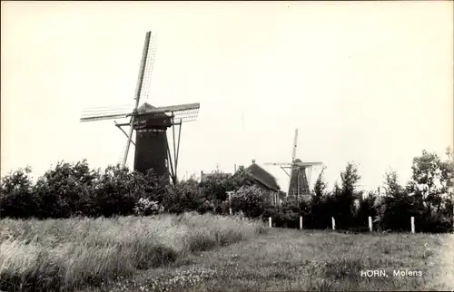 Ak Horn Limburg Niederlande, Windmühlen