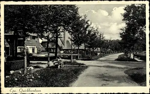 Ak Epe Gelderland Niederlande, Quickbornlaan