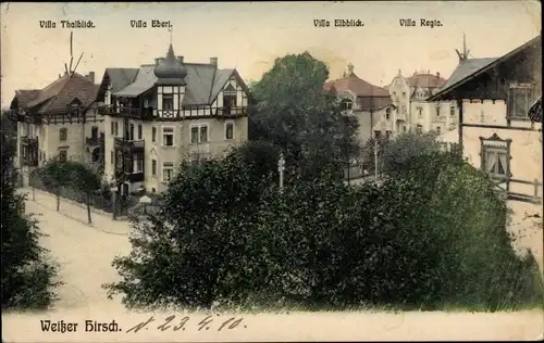 Ak Dresden Weißer Hirsch, Wolfshügelstraße 5, Villa Thalblick, Villa Ebert, Villa Elbblick, Regia