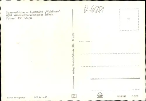 Ak Wüstendittersdorf Schleiz im Vogtland Thüringen, Gasthof Waldhorn