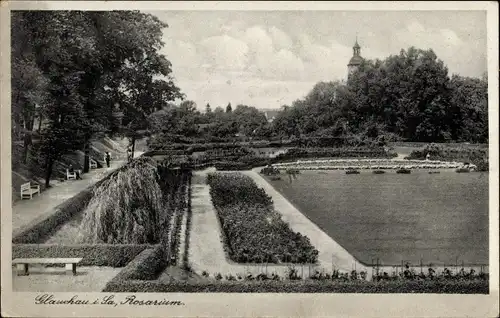 Ak Glauchau in Sachsen, Rosarium