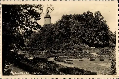 Ak Glauchau in Sachsen, Rosarium