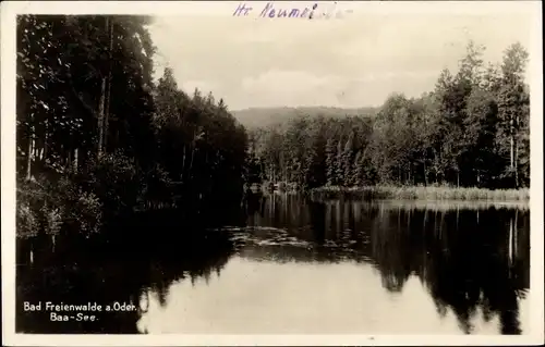 Ak Bad Freienwalde an der Oder, Baa See