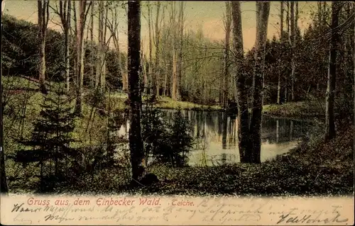 Ak Einbeck in Niedersachsen, Einbecker Wald, Teiche