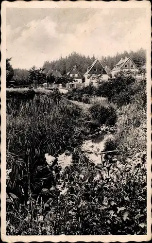 Ak Zwiesel Berggießhübel in Sachsen, Bach, Häuser