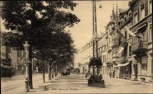 Ak Spa Wallonien Lüttich, Avenue du Marteau, Drapeaux