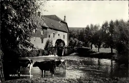 Ak Wijlre Wielder Limburg, Wassermühle, Kühe