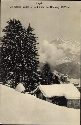 Ak Leysin Kanton Waadt, Le Grand Sapin, La Pointe de Chaussy