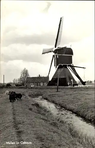 Ak Cabauw Utrecht Niederlande, Windmühle