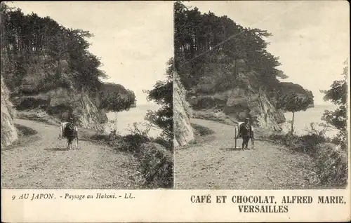 Stereo Ak Hakoni Präf. Kanagawa Japan, Wegpartie