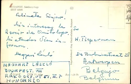 Ak Budapest Ungarn, Szechenyi hegy