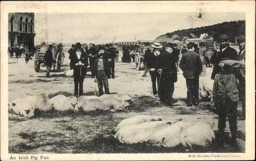 Ak Irland, Viehmarkt, Schweinemarkt