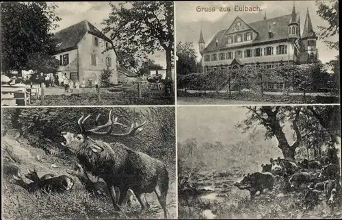 Ak Eulbach Michelstadt im Odenwald, Hirsch, Rehe, Wildschweine, Villa