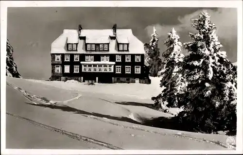 Ak Falkau Feldberg im Schwarzwald Baden Württemberg, Pension Villa Hosp, Winter