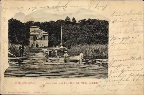 Ak Bad Zwischenahn in Oldenburg, Waldschlösschen, Zwischenahner Meer, Ruderboote