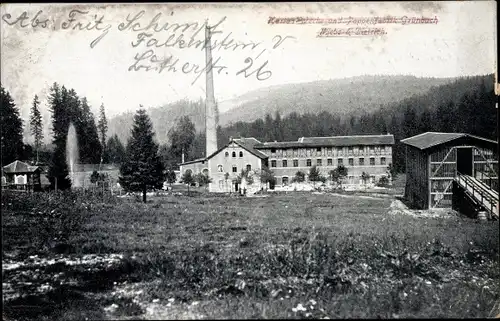 Ak Mylau Reichenbach im Vogtland, Göltzschtal, Siegel's Holzstoff- und Pappenfabrik