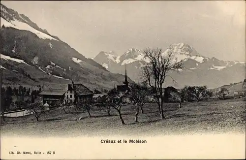 Ak Crésuz Kt. Freiburg Schweiz, Vue générale et le Moleson