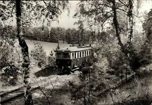 Ak Buckow in der Märkischen Schweiz, Waldbahn