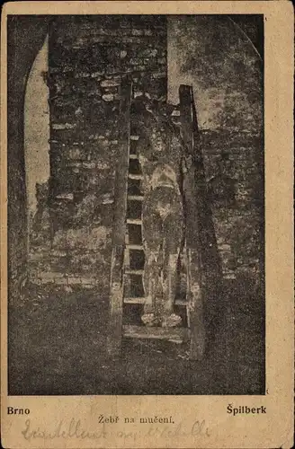 Ak Brno Brünn Südmähren, Špilberk, Spielberg, Zebr na mueeni