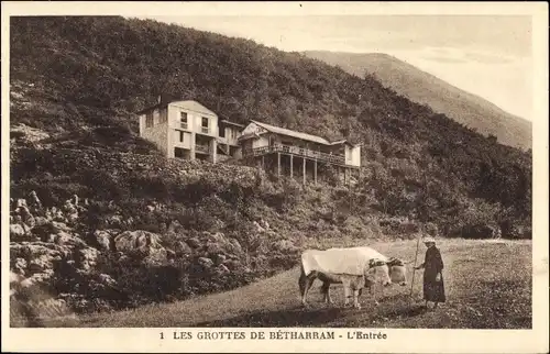 Ak Bétharram Pyrénées-Atlantiques, Grottes, L'Entree, Kühe