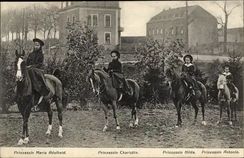 Ak Adel Luxemburg, Prinzessinnen Maria Adelheid, Charlotte, Hilda, Antonia, Pferde