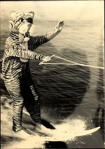 Foto Ak Mensch in Tiger-Kostüm fährt Wasserski, Wassersport