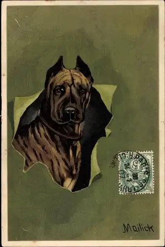 Künstler Litho Mailick, Tierportrait, Hund