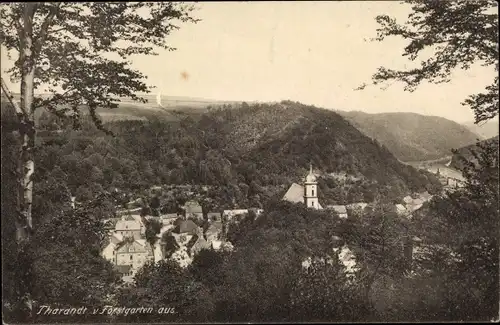 Ak Tharandt im Erzgebirge, Panorama vom Forstgarten aus