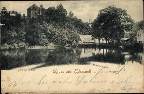 Ak Tharandt im Erzgebirge, Ruine und Teich