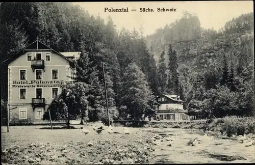 Ak Hohnstein Sächsische Schweiz, Hotel Polenztal