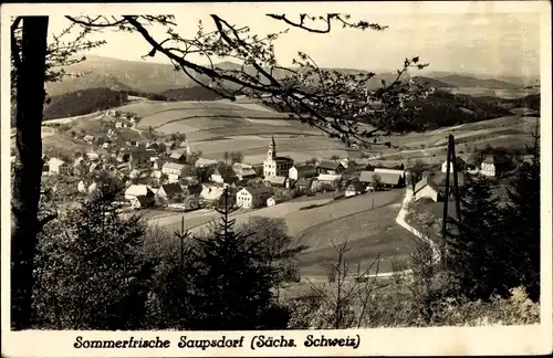 Ak Saupsdorf Sebnitz Sächsische Schweiz, Panorama