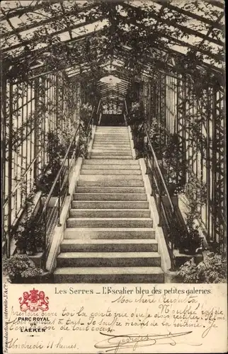 Postkarte Laeken Brüssel Brüssel, Parc Royal, Gewächshäuser, Blaue Treppe der kleinen Galerien
