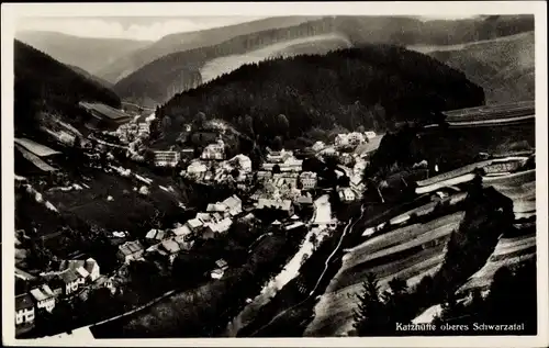 Ak Katzhütte im Schwarzatal, Panorama