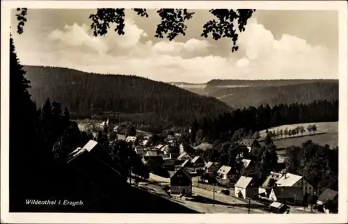 Ak Wildenthal Eibenstock im Erzgebirge, Panorama