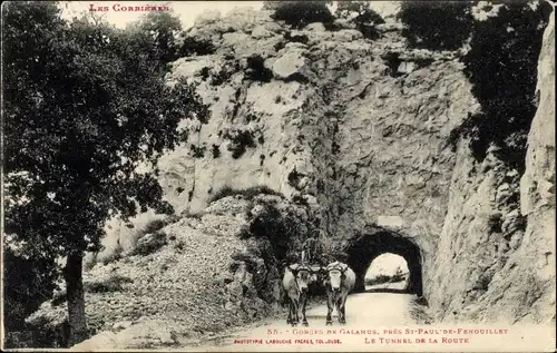 Ak Saint Paul de Fenouillet Pyrénées Orientales, Le Tunnel de la Route, Kühe