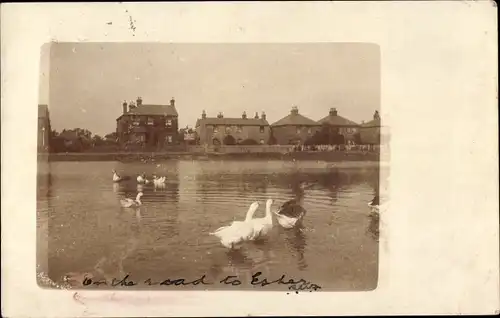 Ak Teddington London England, Schwäne, Häuser