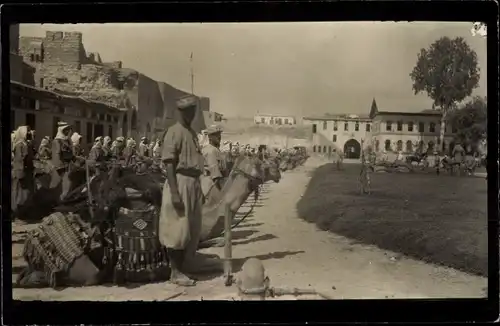 Foto Ak Maghreb, Soldaten mit Kamelen