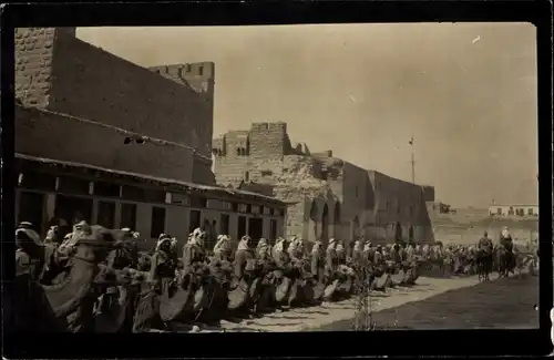 Foto Ak Maghreb, Soldaten mit Kamelen, Truppenschau