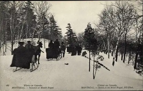 Ak Montreal Québec Kanada, Schlittengespanne, Mont Royal, Winter