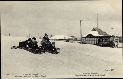 Ak Montreal Québec Kanada, Schlitten, Mont Royal, Winter