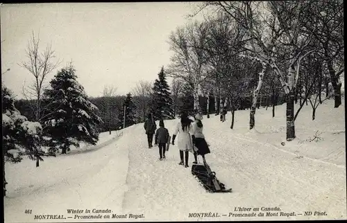 Ak Montreal Québec Kanada, Mont Royal, Winter, Schlitten