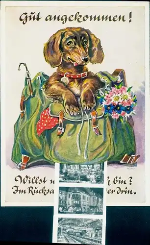 Leporello Ak München, Hofbräuhaus, Innenansichten, Hund im Rucksack