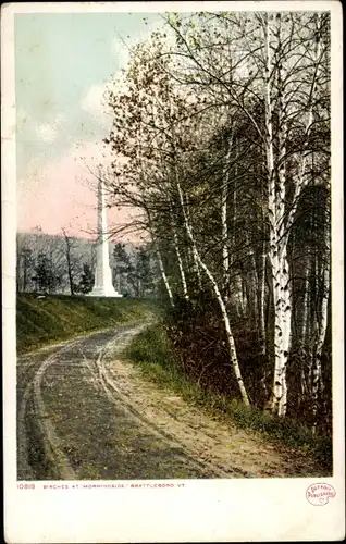 Ak Brattleboro Vermont USA, Birken am Morningside