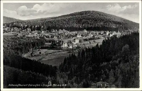 Ak Bärenfels Altenberg im Erzgebirge, Panorama