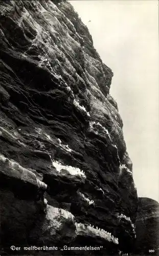 Ak Nordseeinsel Helgoland, Lummenfelsen