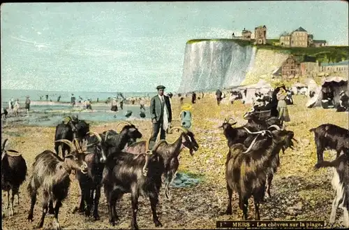 Ak Mers les Bains Somme, Die Ziegen am Strand